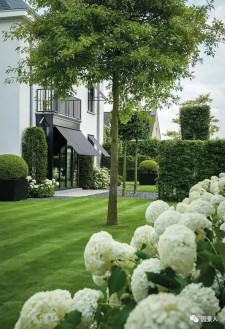 派派后花园使用全攻略：轻松打造专属数字花园，享受无压社交乐趣