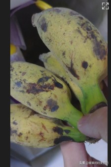 香蕉频蕉app下载安装与使用全攻略：安全获取、高效操作、问题解决一步到位