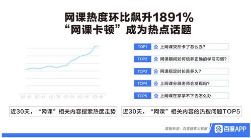 核桃编程的工作经历