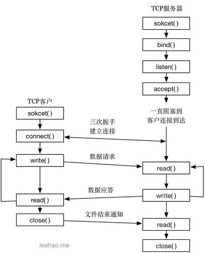 tcpsocket编程的基本步骤