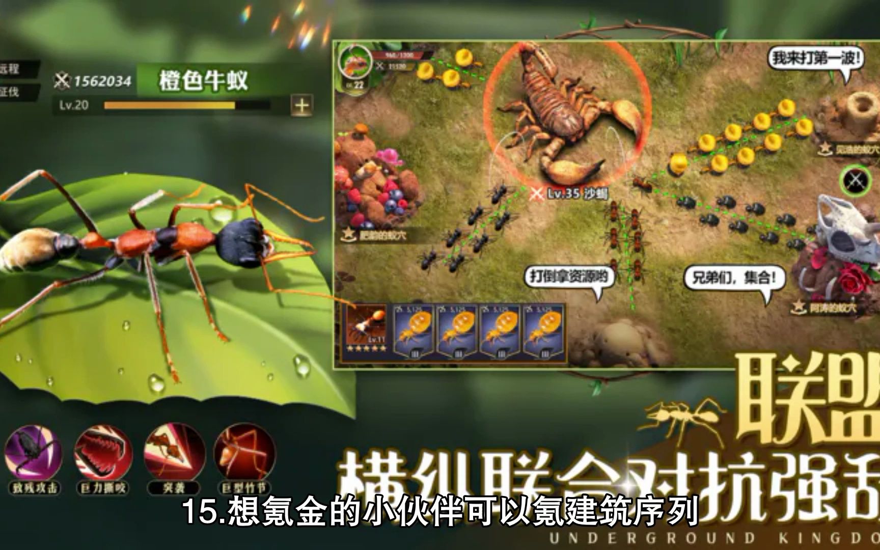 蚁族崛起新手攻略：快速上手蚂蚁王国，轻松称霸微观世界