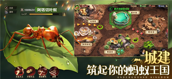 蚁族崛起新手攻略：快速上手蚂蚁王国，轻松称霸微观世界