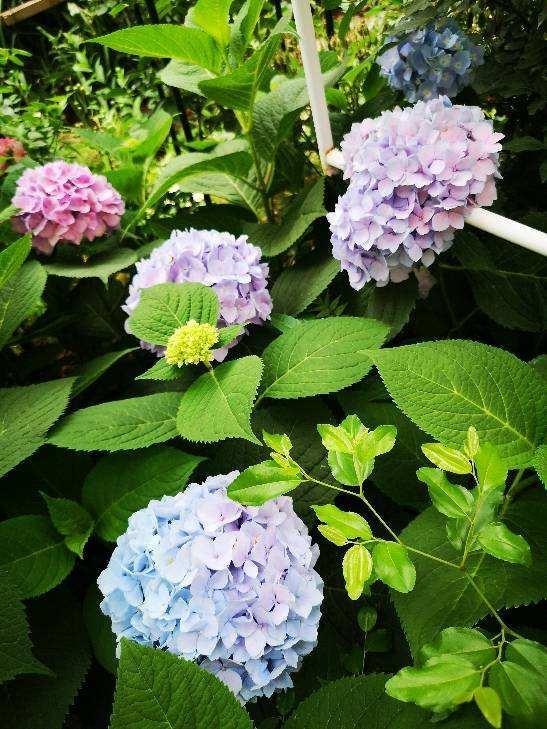 万华镜5完整攻略:轻松解锁全结局与隐藏要素,享受沉浸式视觉小说体验 万华镜5完整攻略:轻松解锁全结局与隐藏要素,享受沉浸式视觉小说体验