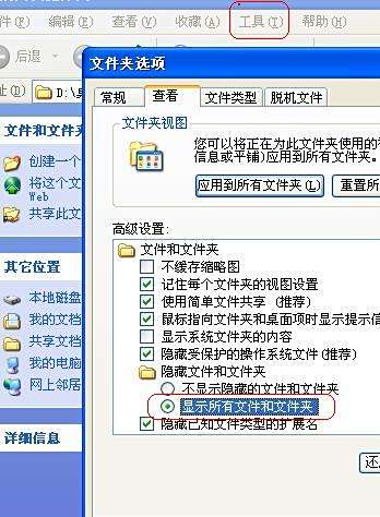 种子发布系统：高效分发大型文件，节省带宽成本，提升下载体验